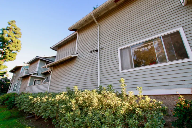 The homes in the sunwood square is like a row houses with lots of trees and plant with lawns.