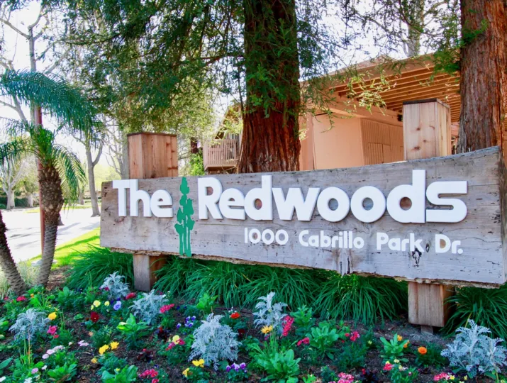 A clear day in the Redwoods in front of the sign with trees.