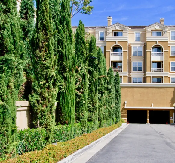 Before the Apartment in Vantage has more tallest trees than the apartment with clear sky