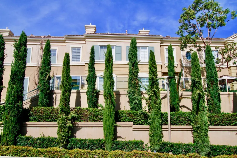 Trees in the Vantage community with a staircase on a sunny day.