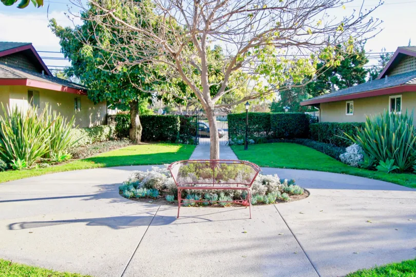 Tree in a Westwood Condos courtyard with a red bench on a sunny day.