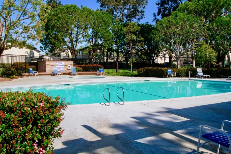 A nice day in the Windwood Forest with a swimming pool and trees.