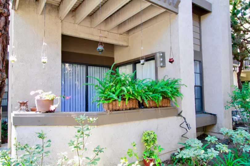 sunny day An inviting back porch in the Woodlake community where vegetation is shown growing.