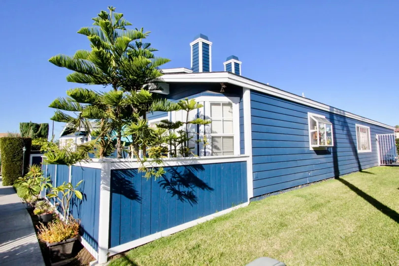 THE BLUE COLOUR HOUSE IN THE BELL COVE WITH THE TREES, LAWN, FLOWER POT