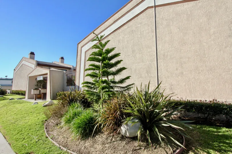 side yard in the community of Bell Terrace in Stanton, CA