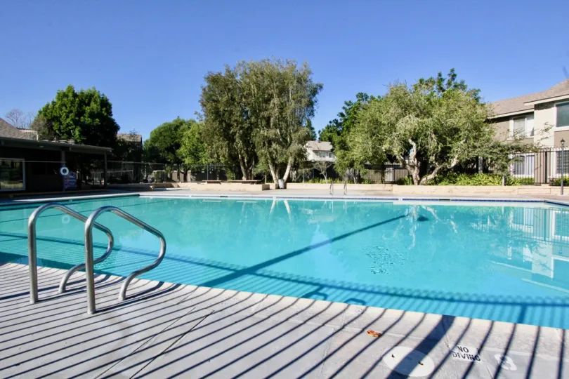 THE HOUSE IN THE BRADFORD PLACE WITH THE SWIMMING POOL, PLANTS