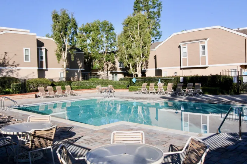 A two parrallel house with a swimming pool in front and the morning day time with cute trees between two houses.