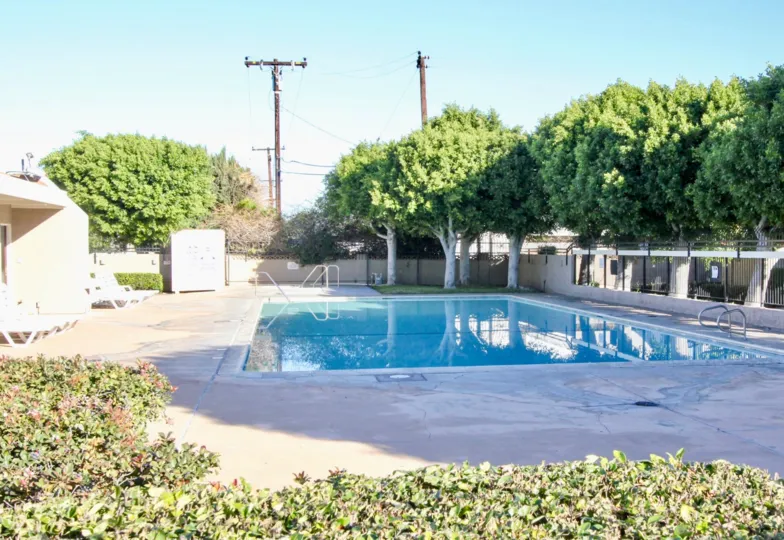beautiful sunny day green trees and swimming pool in Stanton Park Townhomes