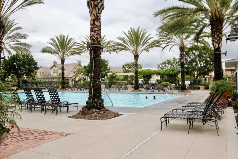 Attractive California palms surround pool and recreational amenities at the Ainsley Park