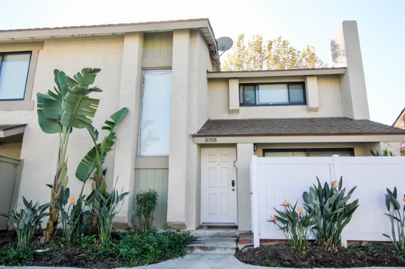 A tall plant consisting of three large leafs sits in front of a townhome in Briarcliff Village