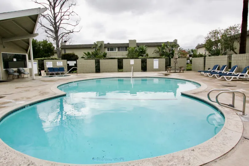 THE HOUSE IN THE BRIGHTON TERRACE WITH THE SWIMMING POOL, CHAIRS, PLANTS, TREES