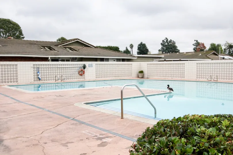 A sunny day in the area of Broadmoor Park, poolside, outside, bird, trees, roof tops, railing, water