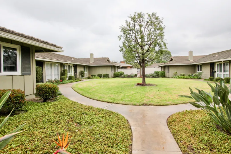 An overcast day by some Broadmoor Park houses with a curvy walkway around a tree with grass around it, along with other greenery elsewhere