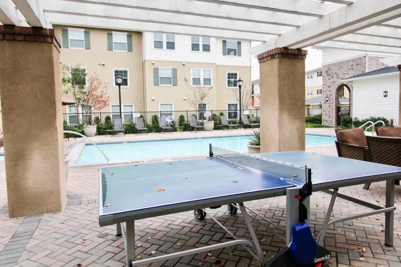 THE APARTMENT IN THE CAMBRIDGE LANE WITH THE TABLE, SWIMMING POOL, FLOWER PLANT, LIGHTS