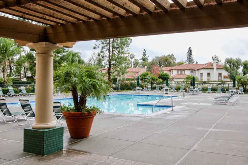 A sunny day in the area of Corte Villa, poolside, water, chairs, palm trees, deck
