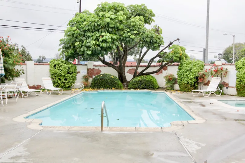 THE SWIMMING POOL WITH THE STREET LIGHT, CHAIRS, PLANTS, TREES