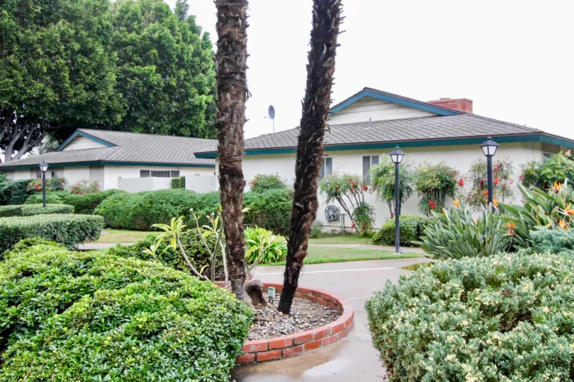 Communal public area with decorative light posts and large walkways with ample gardening features at Palmwood Gardens
