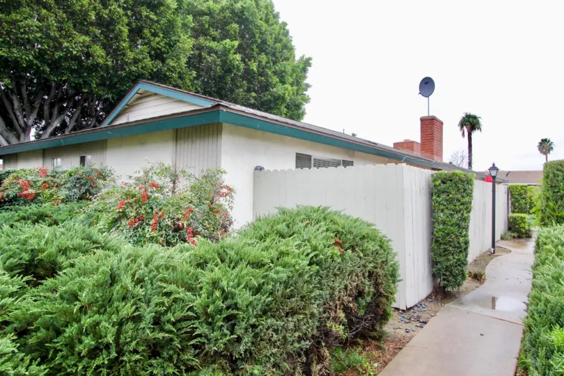 This image views the lot of plants with beautiful house which is located in the community of Palmwood Gardens that have the pathway to the home and lightlamp also there.