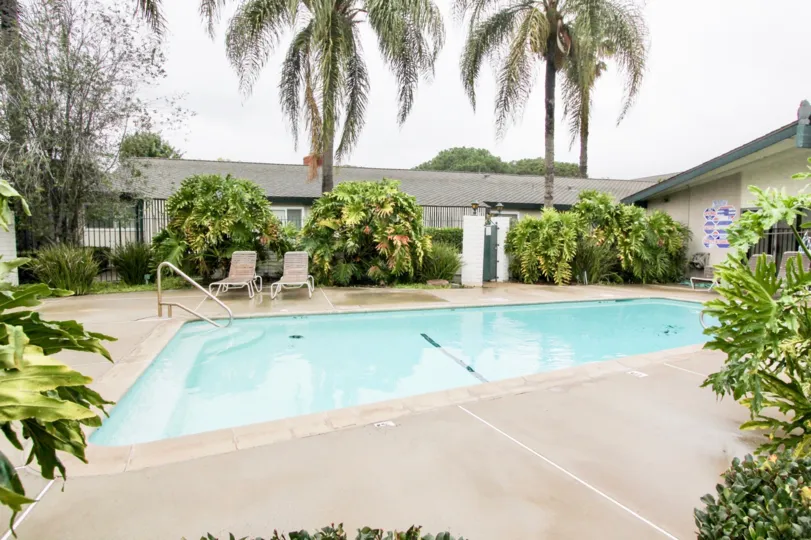 Beautiful Swimming pool with palm trees around in Palmwood Gardens of Tustin