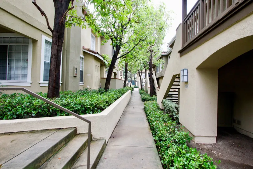 Beautiful green plants and steps between villas in Shadow Canyon of Tustin