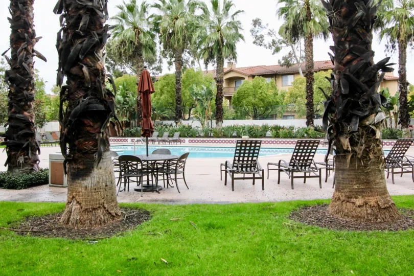 The poolside view at Tustin Del Verde with pool chairs, covered picnic seating, tall palm trees and green grass common areas