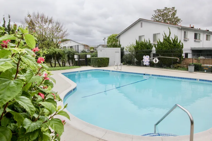 Nice looking swimming pool with flowers and garden near villa of Tustin Imperial of Tustin