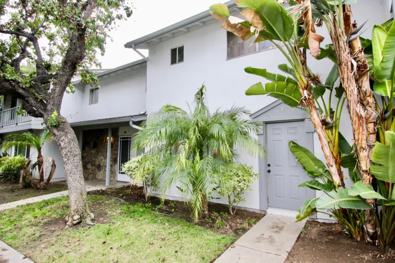 THE HOME IN THE TUSTIN IMPERIAL WITH THE BANANA TREES, PLANTS, GRASSES