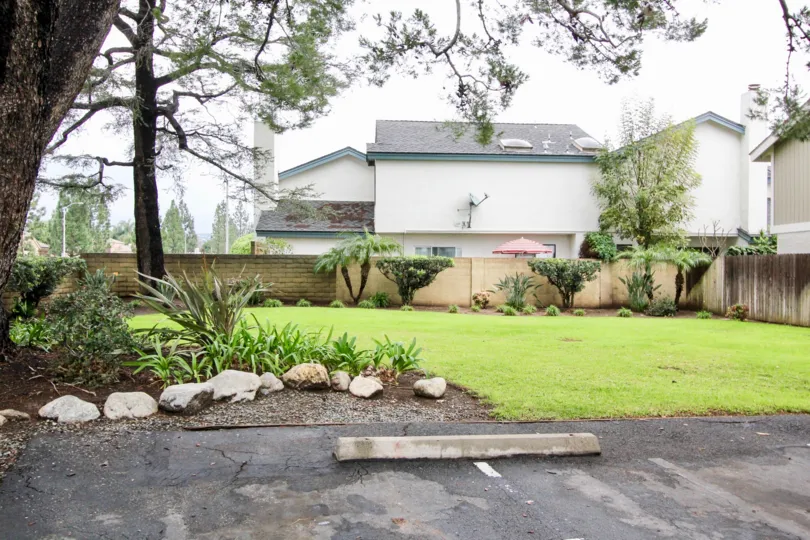 THE HOUSE IN THE TUSTIN PINES WITH THE DISH ANTENNA, ROCKS, GRASS LAND, PLANTS, TREES, WALL