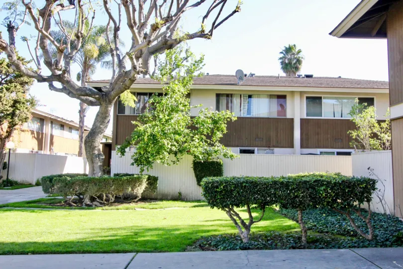 A bare twisted and gnarled tree sits in a yard in front of a two story building in Tustin Village