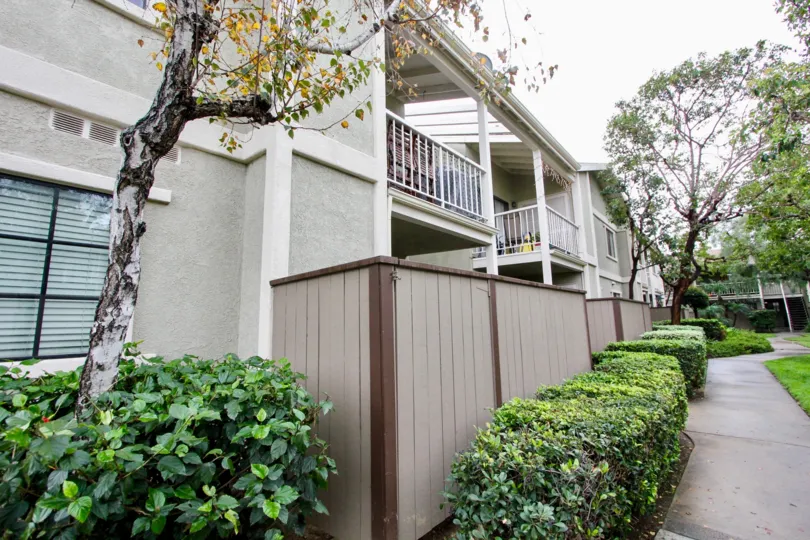 A sunny day at the Village Homes with patios, walkways and landscapingl