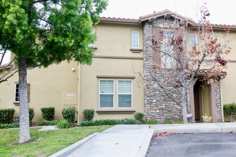 The home in the Canterbury is very pleasant and peaceful place with lots of trees and plants.