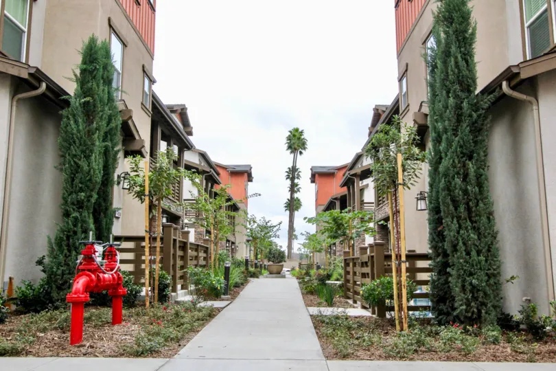 both sides of pathway in Heritage Crossings has tall plants, trees, flower pots and with light lamps