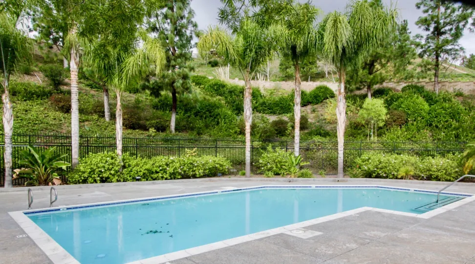 A great day in the La Terraza I with a swimming pool and palm trees.