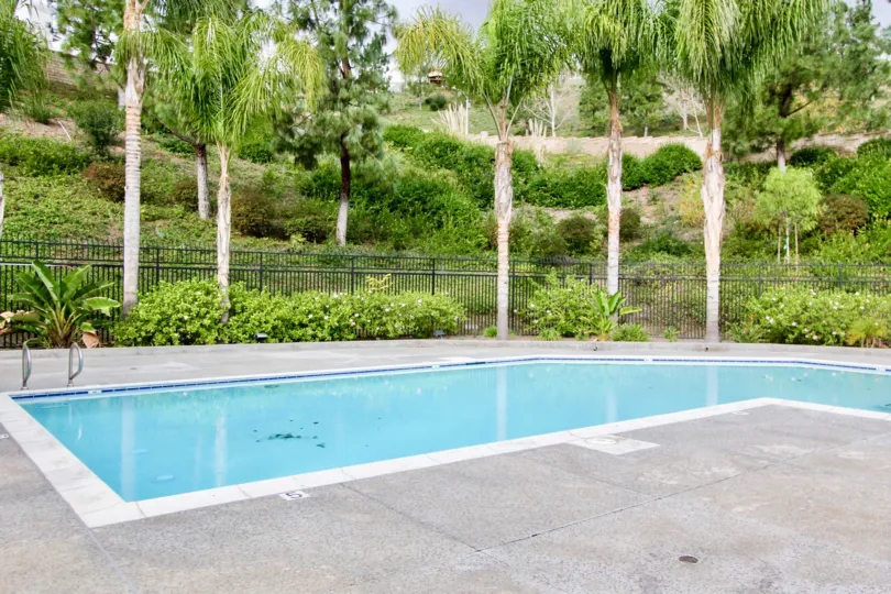 A day in the La Terraza II with a swimming pool and palm trees.