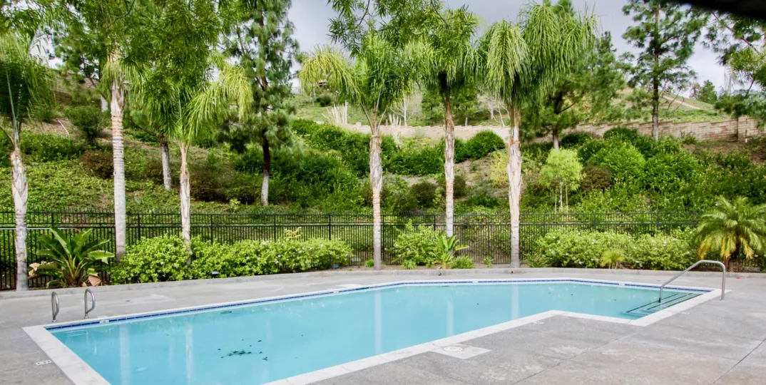 Around the swimming pool has lawn with tall trees and bushes in La Terraza II