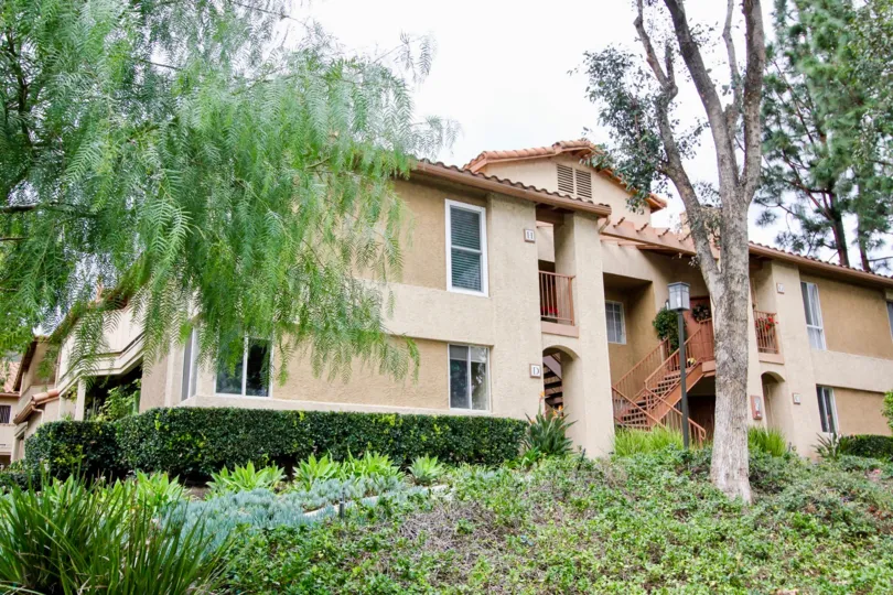The Hills Yorba Linda California looks somewhat terror appearance because of thickly populated trees