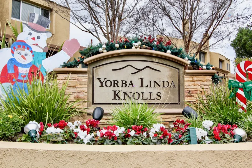Yorba Linda Knolls California found with cartoons for celebrating party with kids and trees at back