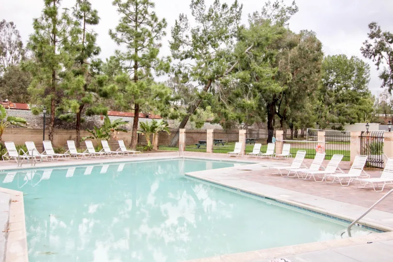 A big swimming pool alone at the sunshine time and more trees are available at the front of the pool