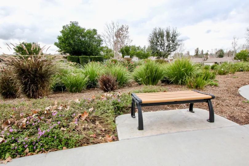 Green lanscaping with a empty bench in Yorba Meadowood community.