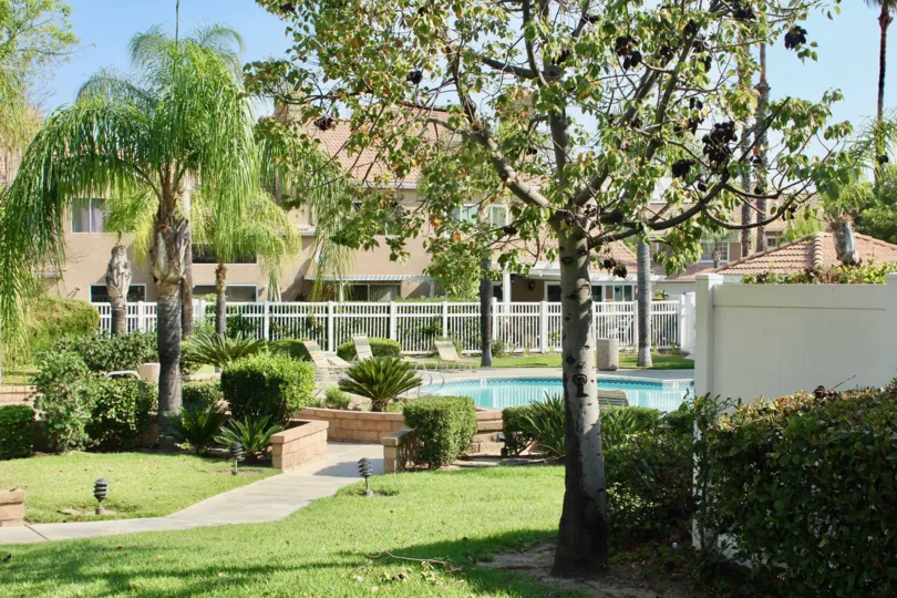 there is a small swimming pool at the front of house with table and chair is surrounded by trees and grasses