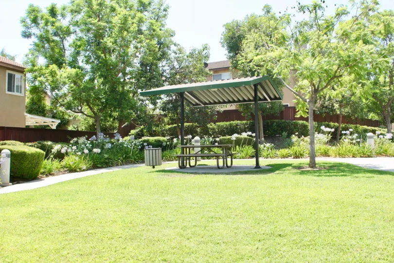 A sunny day in the Carlisle park with a bench, and walking path.