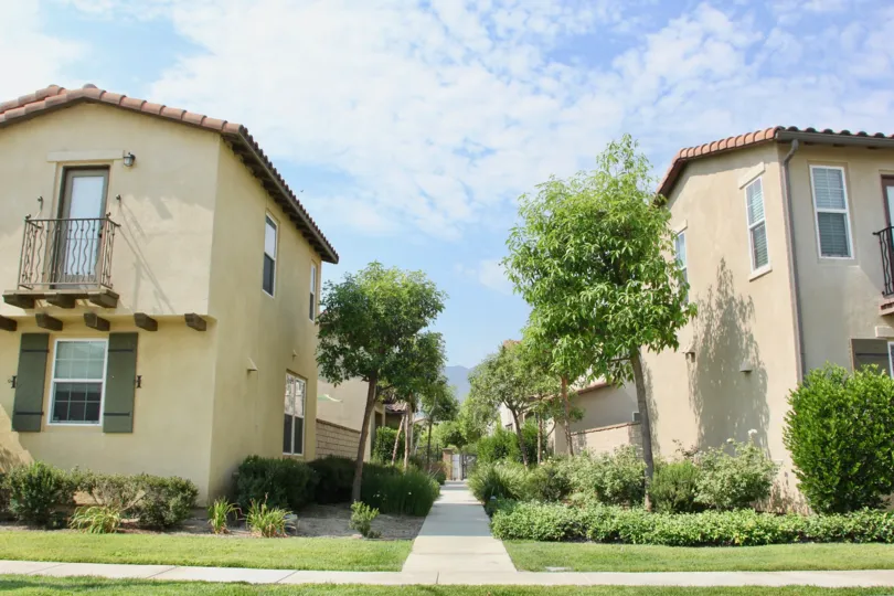 Thin, young trees line a sidewalk at the Citrus Springs community.