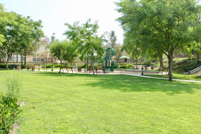 A sunny day in the Alta Murrieta park with children's playground and picnic tables
