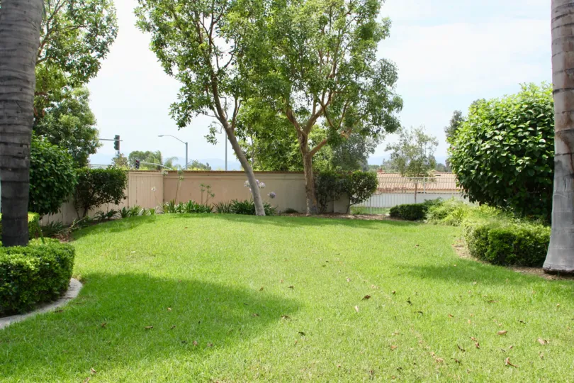 Dried leaves sit in the grass of a yard at the First Impressions at Corona Hills.
