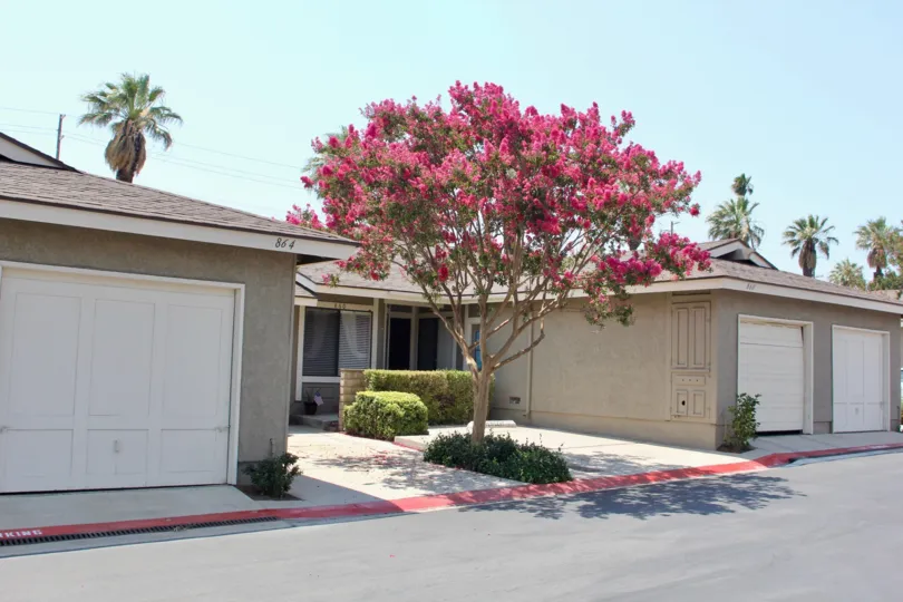 house door is closed and side there is a tree and grasses are located and it is sunny day