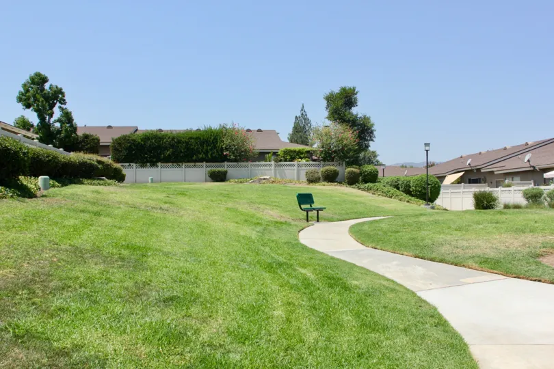 Garden area pathway lined by shrubs and green grass
