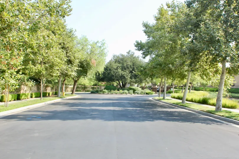Market Street in Corona California with lush green trees on a sunny day