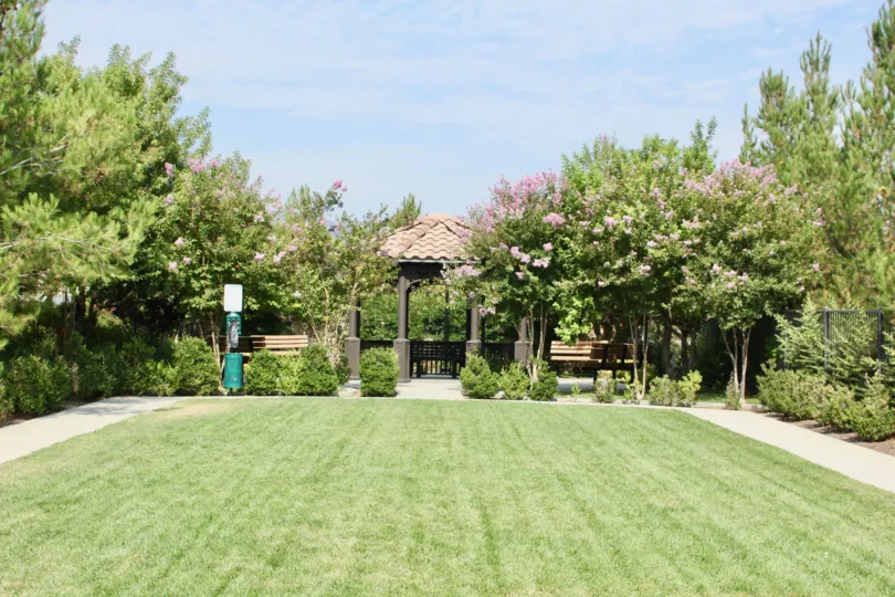 beautiful garden area with patio and landscaping with grass and dog area