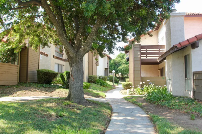 A tree covers a walkway with shade at the Oakview community.