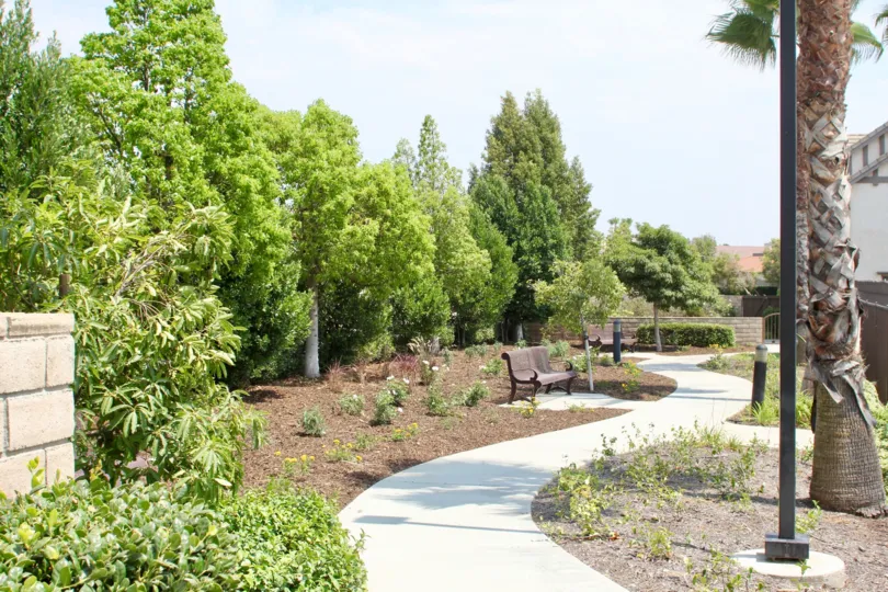 Landscaping, Trees, plants, sidewalk rock wall and many more plants make up this beautiful rich landscaping light pole, park bench